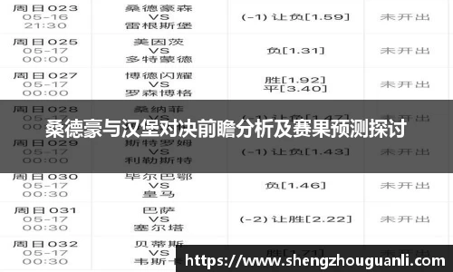 桑德豪与汉堡对决前瞻分析及赛果预测探讨