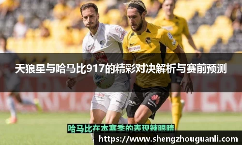 天狼星与哈马比917的精彩对决解析与赛前预测